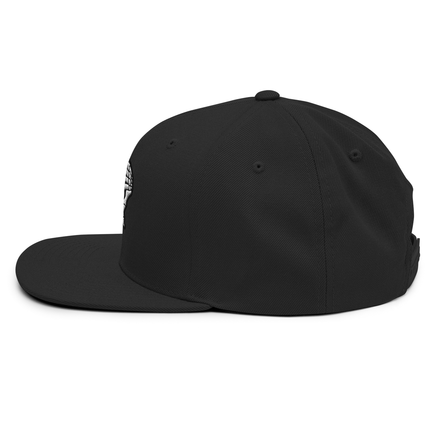 69 Snapback Hat